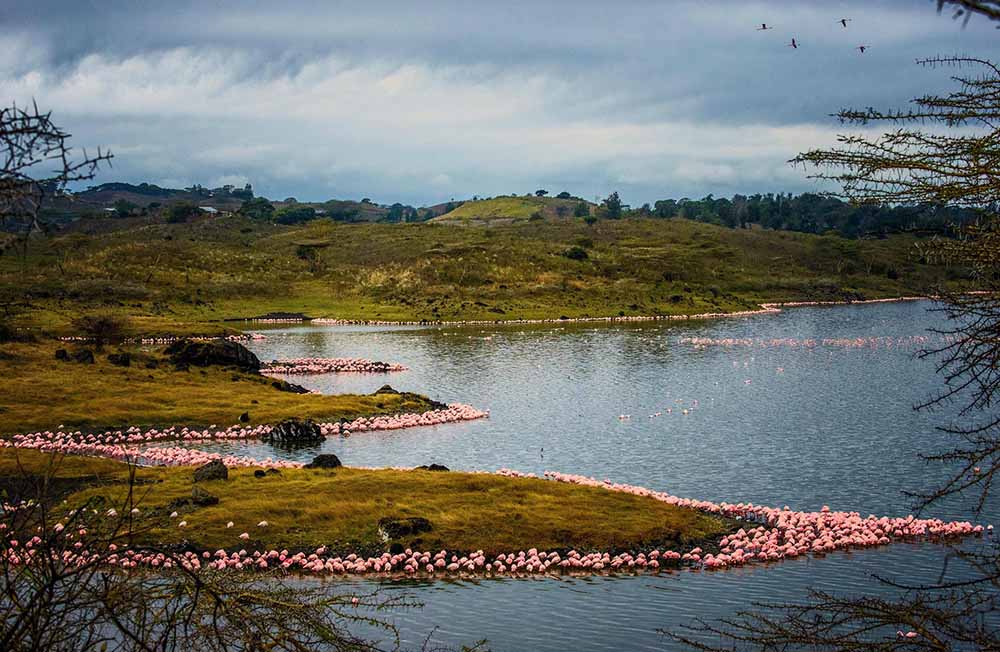 Arusha National Park