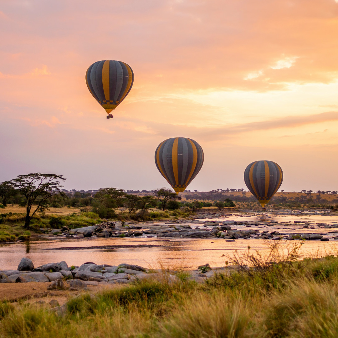 Hot air balloon