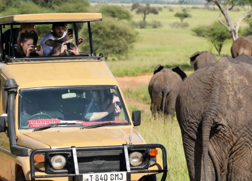 7-Day Luxury Safari & Zanzibar Beach Retreat