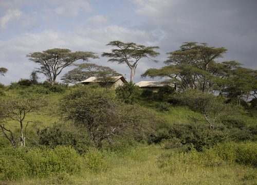 Ndutu Migration Camp