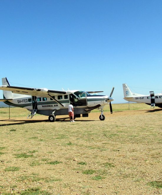 3-Day Flying Safari from Zanzibar